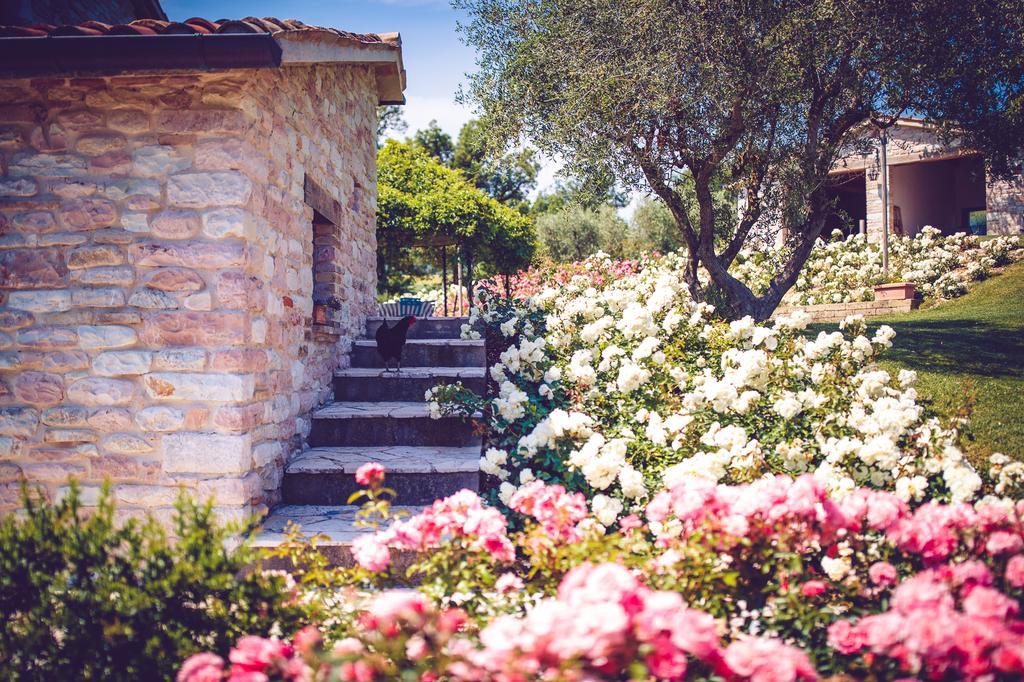 Agriturismo Casal San Sergio فوسومبرون المظهر الخارجي الصورة