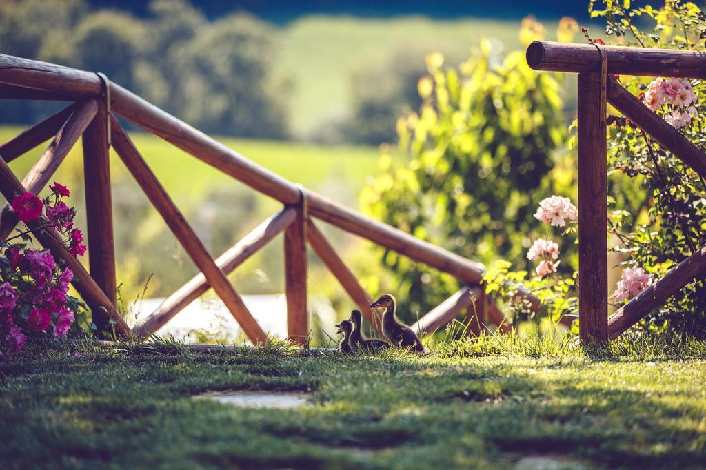 Agriturismo Casal San Sergio فوسومبرون المظهر الخارجي الصورة
